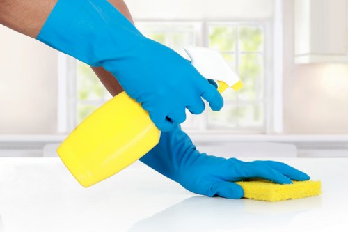 Detail cleaning of newly fitted kitchen surfaces after builders work