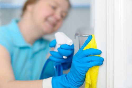 Window cleaner using equipment for upper-floor windows in Westkensington