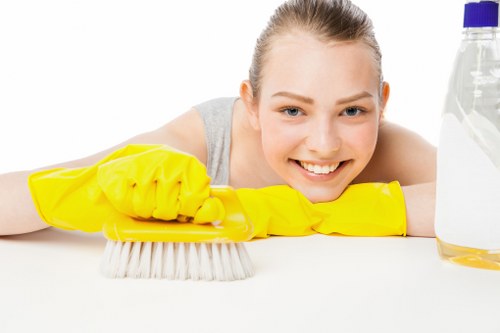 Spot cleaning upholstery stain in a Westkensington home