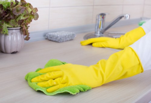 Domestic cleaner working in a Westkensington kitchen and living area