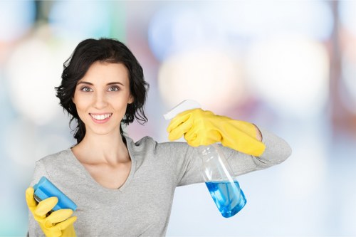 Cleaning equipment used for mattress stain and odour treatment