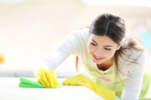 Regular home cleaning service in Westkensington