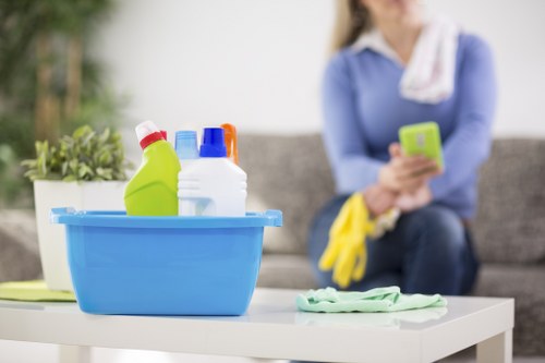 Residential and commercial gutter cleaning service in Westkensington