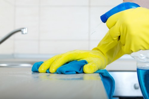 Westkensington cleaner working in a tidy modern living room
