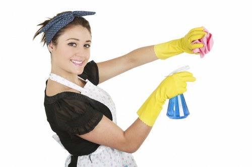 Local carpet cleaning service for homes and offices in Westkensington