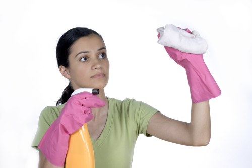 Local oven cleaning for flats and homes in Westkensington